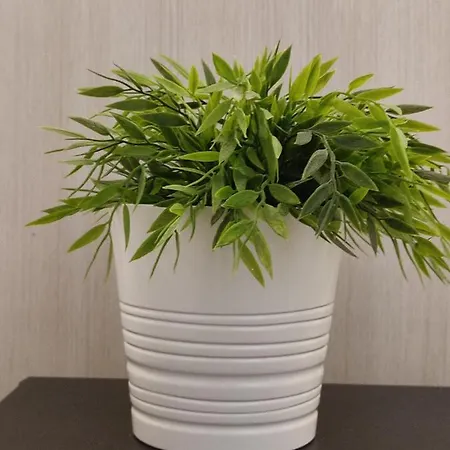 Apartamento Primera Linea - Playa * 帕塔拉瓦卡
